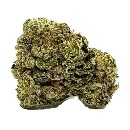 Bubble Gum