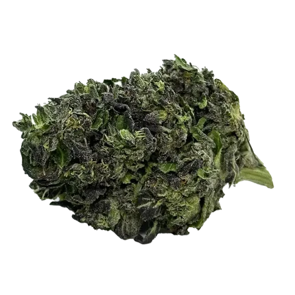 GDP